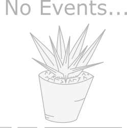 No Events